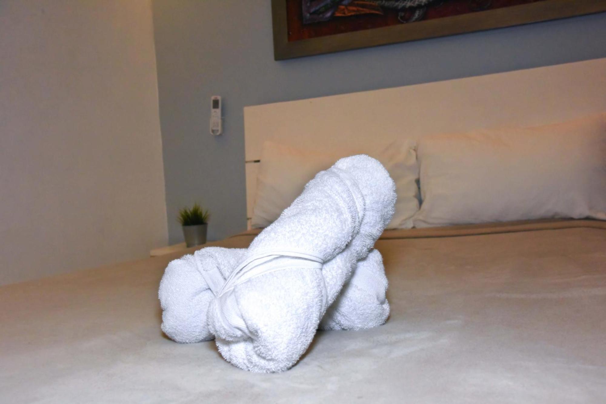 Hostel Gato Colonial Santo Domingo Ngoại thất bức ảnh
