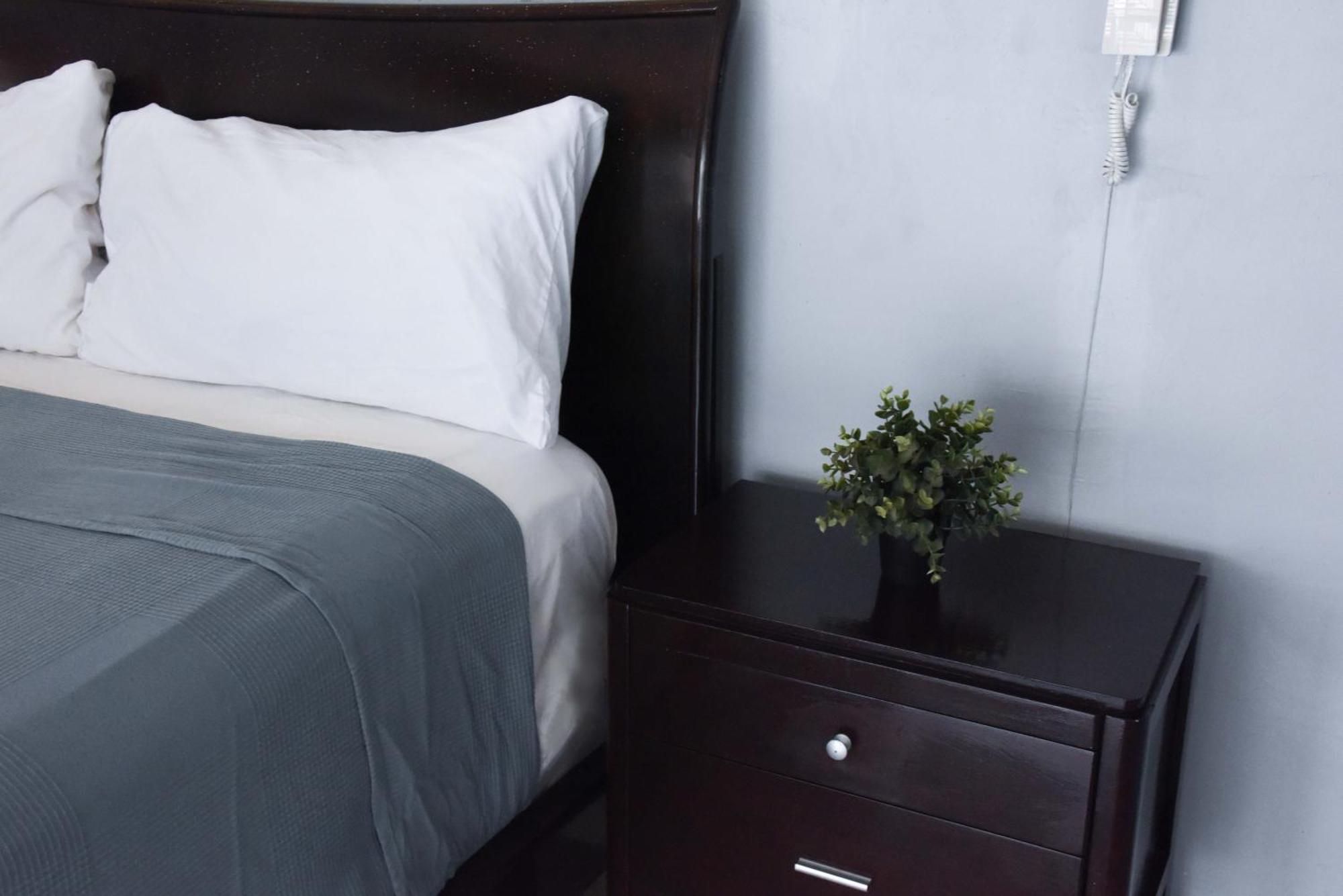 Hostel Gato Colonial Santo Domingo Ngoại thất bức ảnh